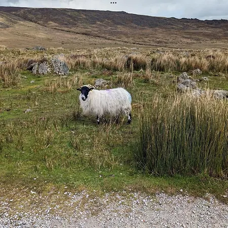 In The Beautiful Meath Countryside Gospodarstwo wiejskie