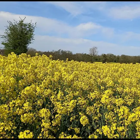 In The Beautiful Meath Countryside *