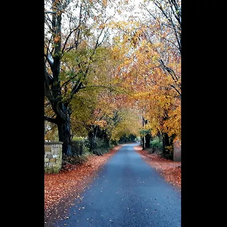 In The Beautiful Meath Countryside Летний дом Dunshaughlin