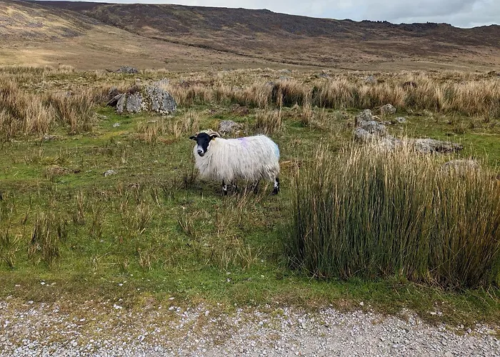 In The Beautiful Meath Countryside Летний дом