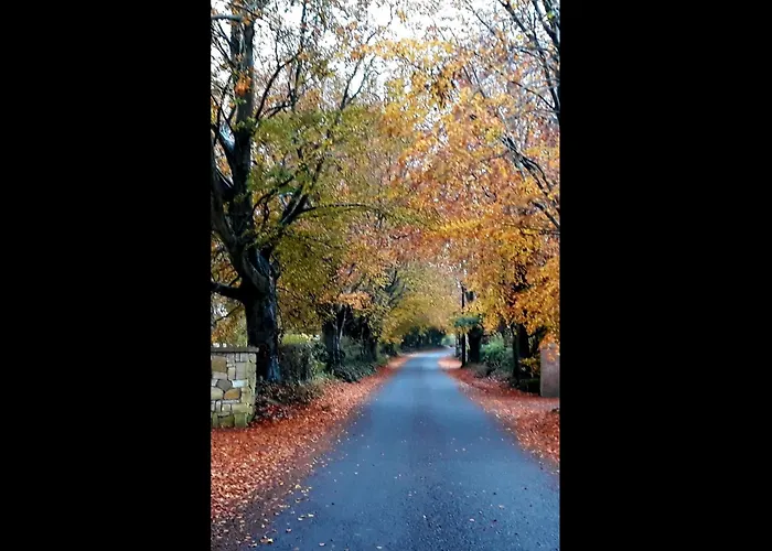 In The Beautiful Meath Countryside Летний дом Dunshaughlin